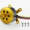 Freewing 3130-1200Kv Brushless Outrunner Motor -Kyosho Store freewing 3130 1200kv brushless outrunner motor motion rc 2403282681905