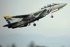 Freewing F-14 Tomcat Twin 80mm EDF Jet - ARF PLUS -Kyosho Store freewing f 14 tomcat twin 80mm edf jet arf plus motion rc 2596343545905