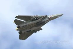 Freewing F-14 Tomcat Twin 80mm EDF Jet - ARF PLUS -Kyosho Store freewing f 14 tomcat twin 80mm edf jet arf plus motion rc 2596344561713