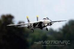 Freewing F-14 Tomcat Twin 80mm EDF Jet - ARF PLUS -Kyosho Store freewing f 14 tomcat twin 80mm edf jet arf plus motion rc 2596347641905