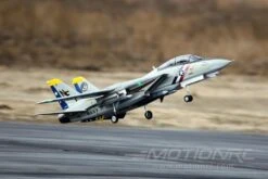 Freewing F-14 Tomcat Twin 80mm EDF Jet - ARF PLUS -Kyosho Store freewing f 14 tomcat twin 80mm edf jet arf plus motion rc 2596348624945