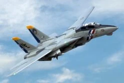 Freewing F-14 Tomcat Twin 80mm EDF Jet - PNP