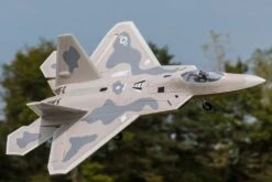 Freewing F-22 Raptor 64mm EDF Jet - PNP