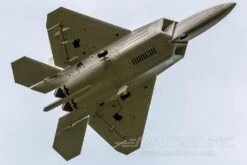 Freewing F-22 Raptor 64mm EDF Jet - PNP -Kyosho Store freewing f 22 raptor 64mm edf jet pnp motion rc 2597136531505