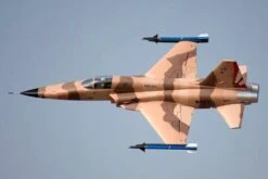 Freewing F-5 Tiger II 80mm EDF Jet - PNP