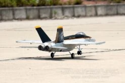 Freewing F/A-18 4S High Performance 64mm EDF Jet "Royal Maces" - PNP -Kyosho Store freewing f a 18 4s high performance 64mm edf jet royal maces pnp motion rc 2597336285233