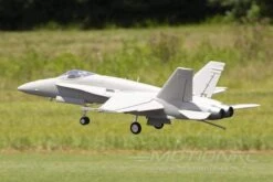 Freewing F/A-18C Hornet "Gray Diamonds" 90mm EDF Jet - ARF PLUS -Kyosho Store freewing f a 18c hornet base gray 90mm edf jet arf plus motion rc 15195124138033