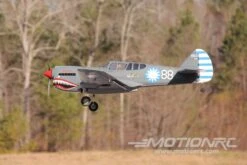 Nexa P-40 Warhawk 1570mm (61.8") Wingspan - ARF -Kyosho Store nexa p 40 warhawk 1570mm 61 8 wingspan arf motion rc 15722598105137