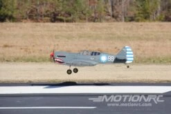 Nexa P-40 Warhawk 1570mm (61.8") Wingspan - ARF -Kyosho Store nexa p 40 warhawk 1570mm 61 8 wingspan arf motion rc 15722598301745