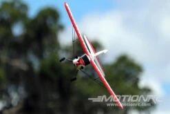 Skynetic Cub 505mm (19.8") Wingspan - RTF -Kyosho Store skynetic cub 505mm 19 8 wingspan rtf motion rc 28658747375665