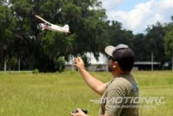 Skynetic Cub 505mm (19.8") Wingspan - RTF -Kyosho Store skynetic cub 505mm 19 8 wingspan rtf motion rc 28658747408433